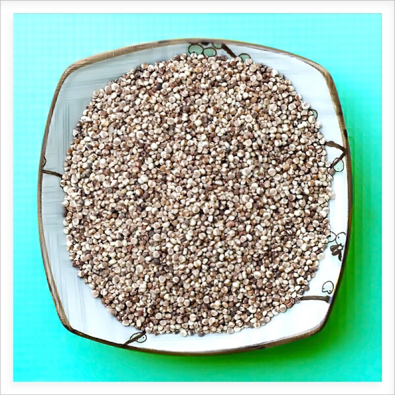 강원 뻥이오뻥농산물/기타 잡곡찰수수/수수잡곡 국내산500g/1kg  