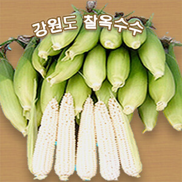 강원 뻥이오뻥잡곡 및 농산물강원도 영월 미백 찰옥수수 30개7월중순경 수확예정,입고알림신청해주세요  
