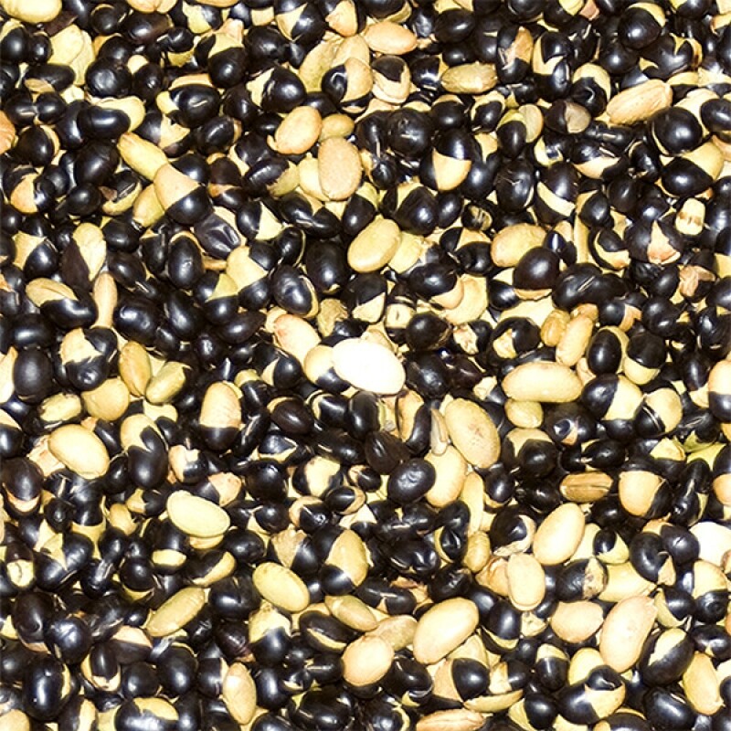 강원 뻥이오뻥콩튀밥류서리태 뻥튀기/검은콩 튀밥국내산 500g/1kg  
