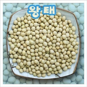 국내산 백태/왕태