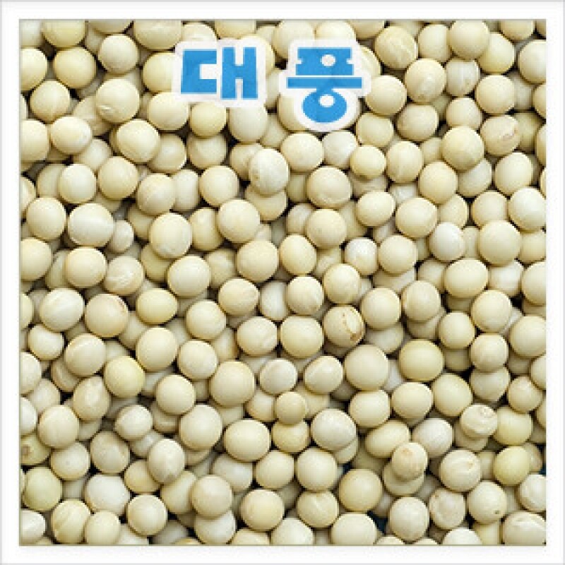 강원 뻥이오뻥농산물/기타 잡곡국내산 백태/왕태500g/1kg선택(직접 농사지은 알이 좋아요)  