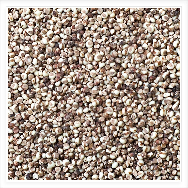 강원 뻥이오뻥농산물/기타 잡곡찰수수/수수잡곡 국내산500g/1kg  