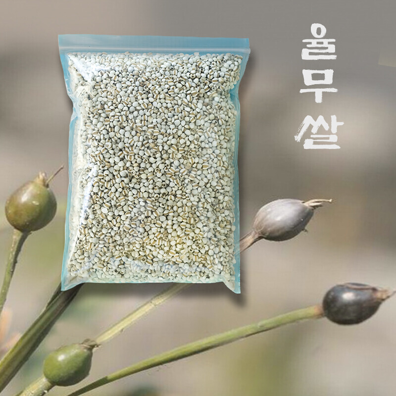 강원 뻥이오뻥농산물/기타 잡곡국산 율무쌀 (잡곡)  