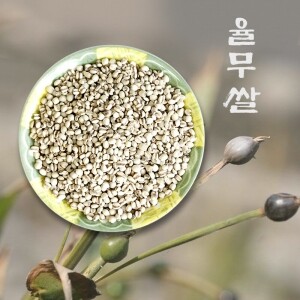 국산 율무쌀 (잡곡)