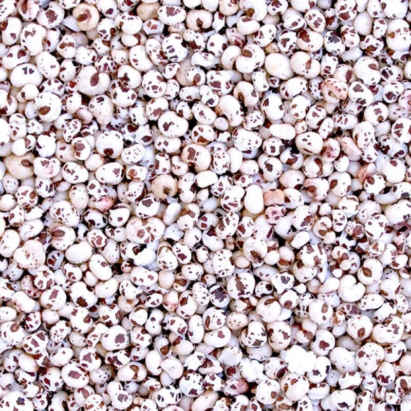 강원 뻥이오뻥쌀튀밥류수수뻥튀기/수수튀밥 시리얼대용국내산 1kg 2kg  